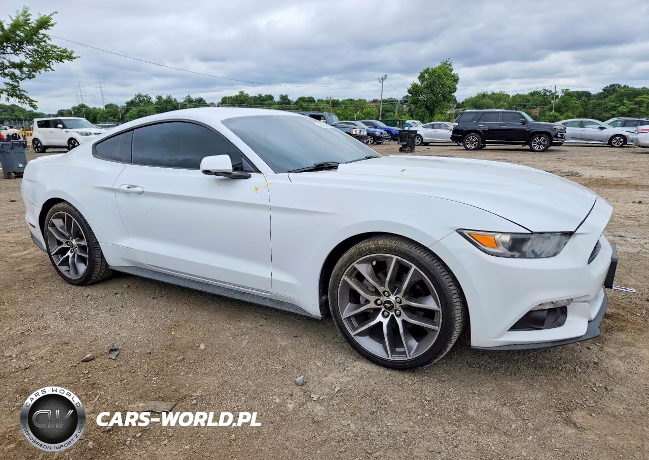 2017 Ford Mustang VIN:1FA6P8THXH5329265 - 4
