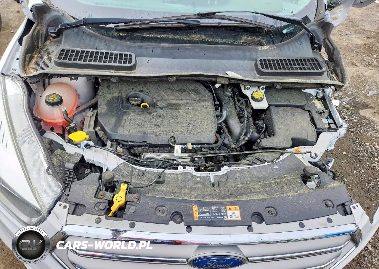 2019 Ford Escape Se VIN:1FMCU9GD5KUB07776 - 12