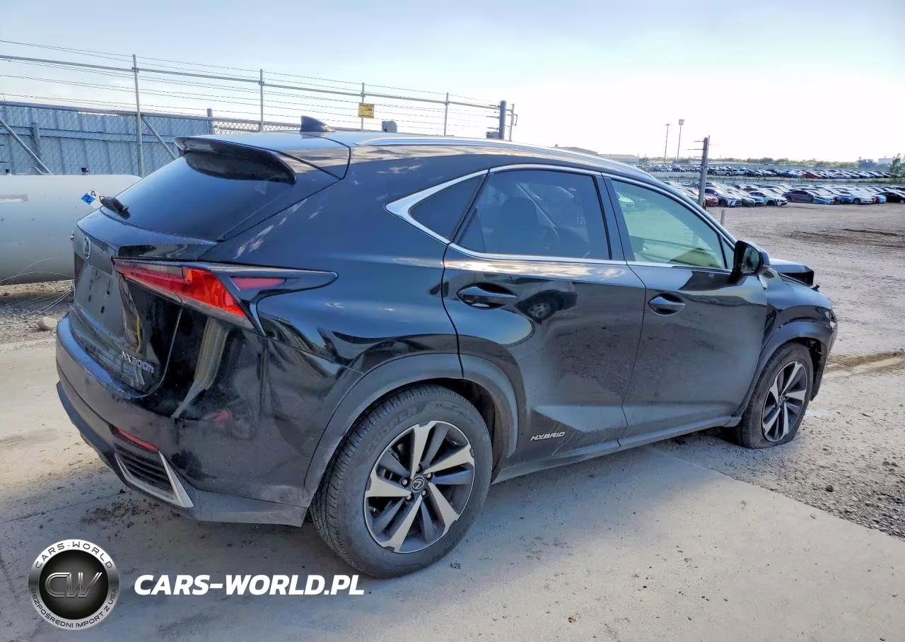 2019 Lexus Nx 300H VIN:JTJBJRBZ7K2120677 - 3