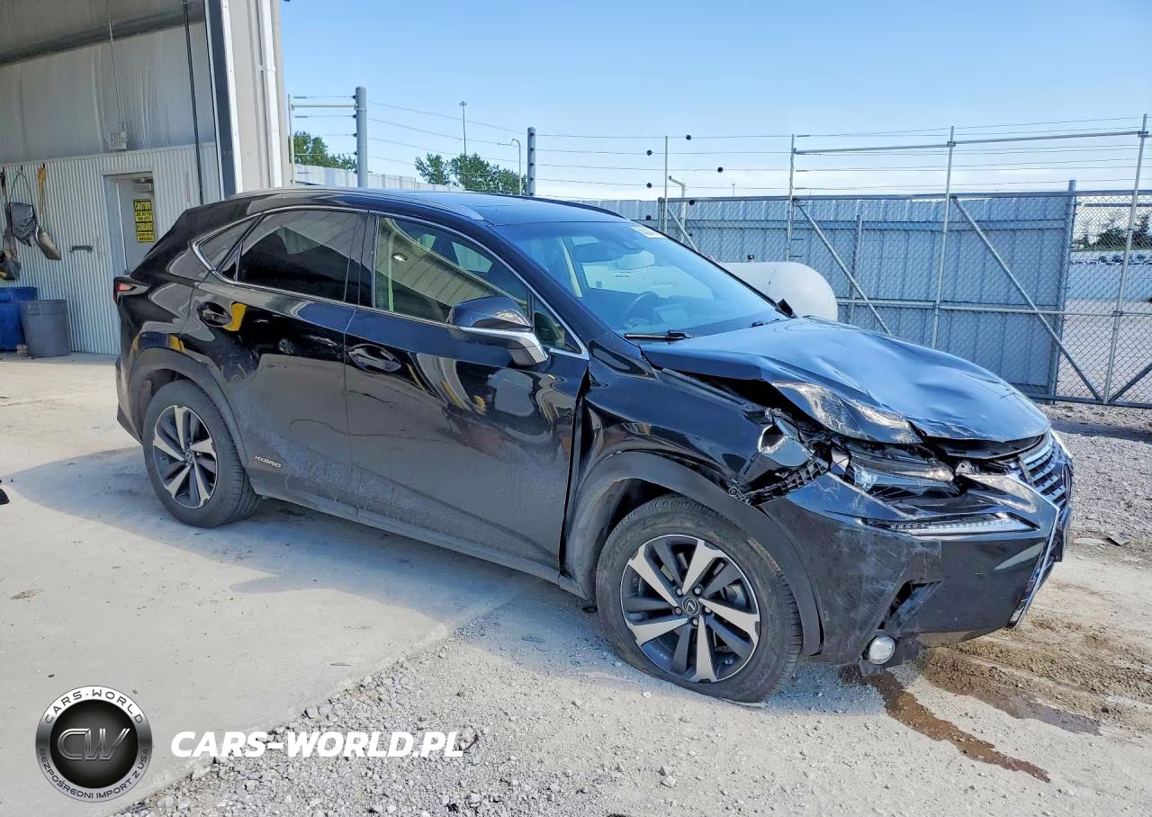 2019 Lexus Nx 300H VIN:JTJBJRBZ7K2120677 - 4