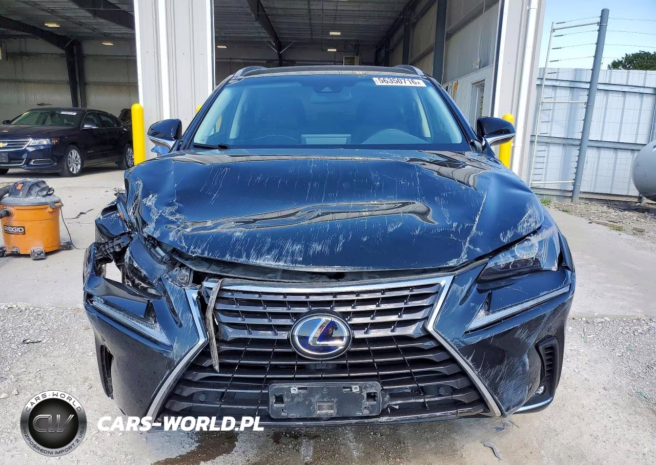 2019 Lexus Nx 300H VIN:JTJBJRBZ7K2120677 - 5