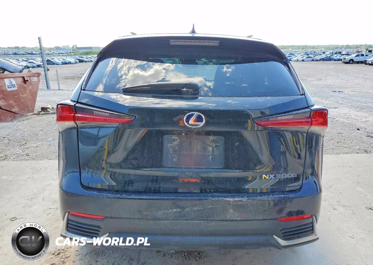 2019 Lexus Nx 300H VIN:JTJBJRBZ7K2120677 - 6