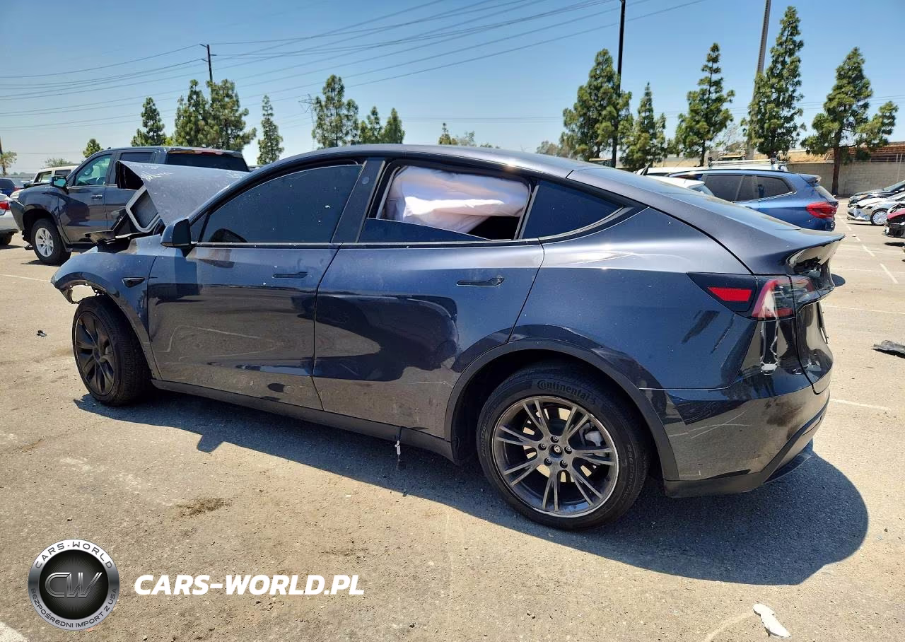 2025 Tesla Model Y VIN:7SAYGDEDXSF277988 - 2