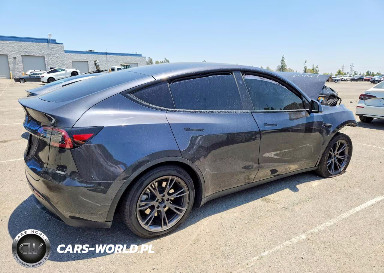 2025 Tesla Model Y VIN:7SAYGDEDXSF277988 - 3