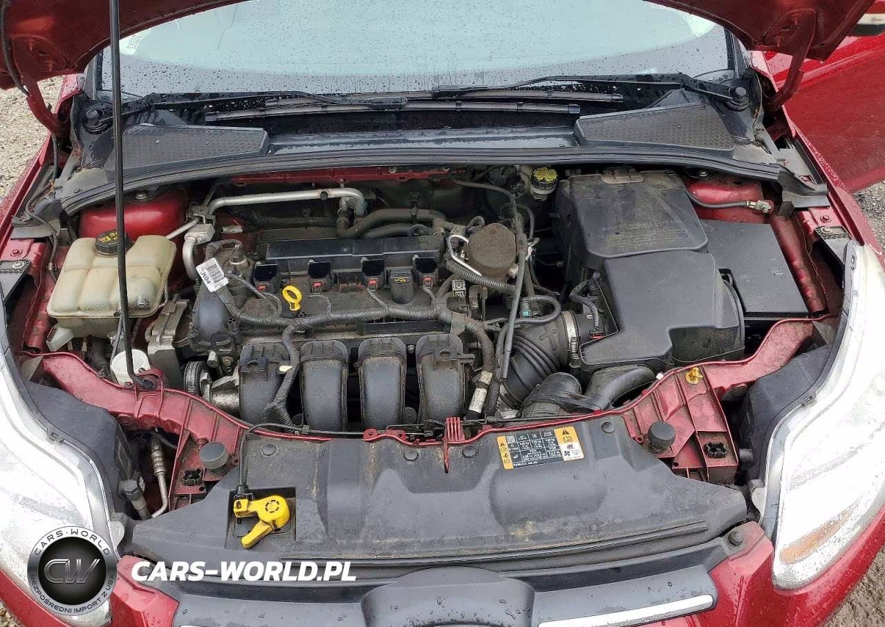 2014 Ford Focus Se VIN:1FADP3K25EL425271 - 11