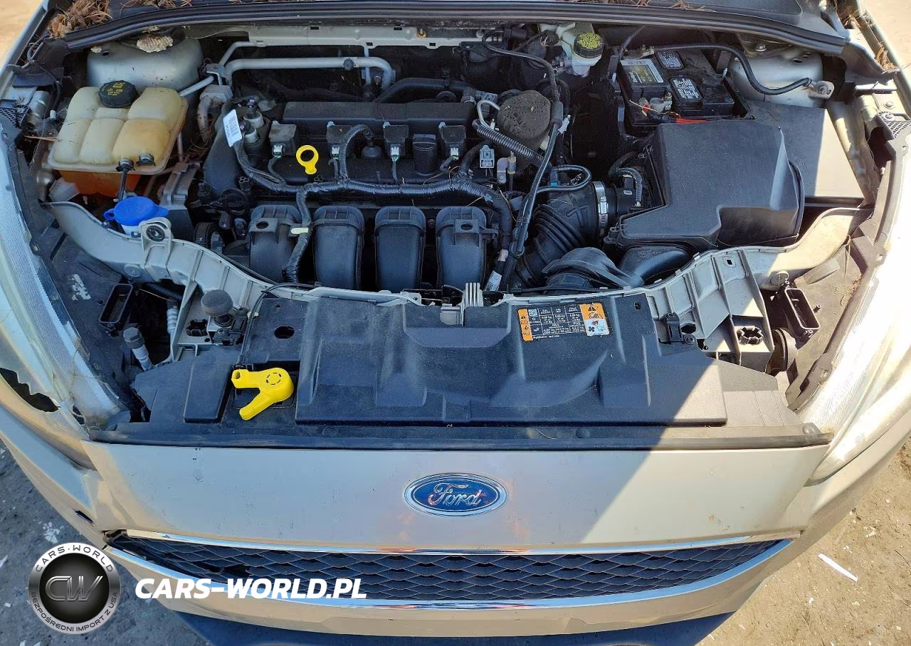 2016 Ford Focus Se VIN:1FADP3F22GL266349 - 11