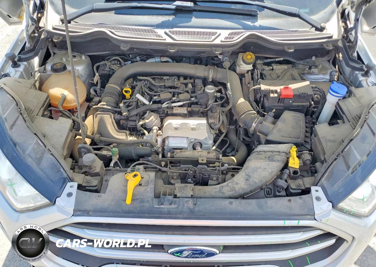 2018 Ford Ecosport Se VIN:MAJ3P1TE0JC226650 - 12