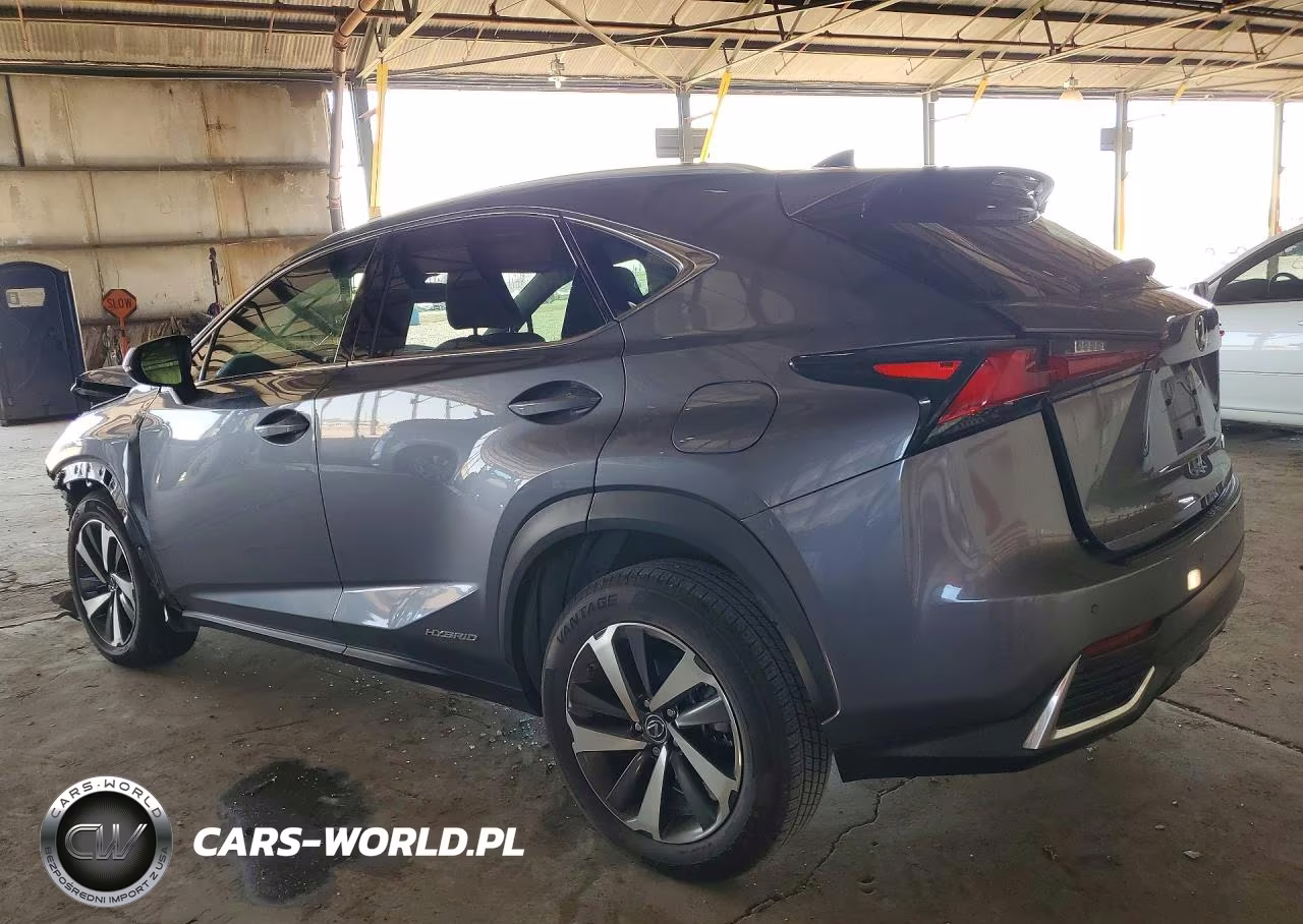 2020 Lexus Nx 300H VIN:JTJGJRDZ4L2125971 - 2