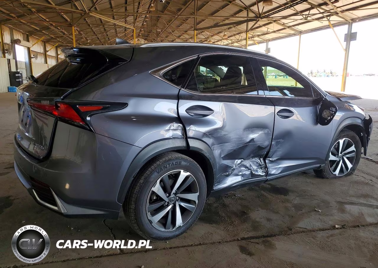 2020 Lexus Nx 300H VIN:JTJGJRDZ4L2125971 - 3
