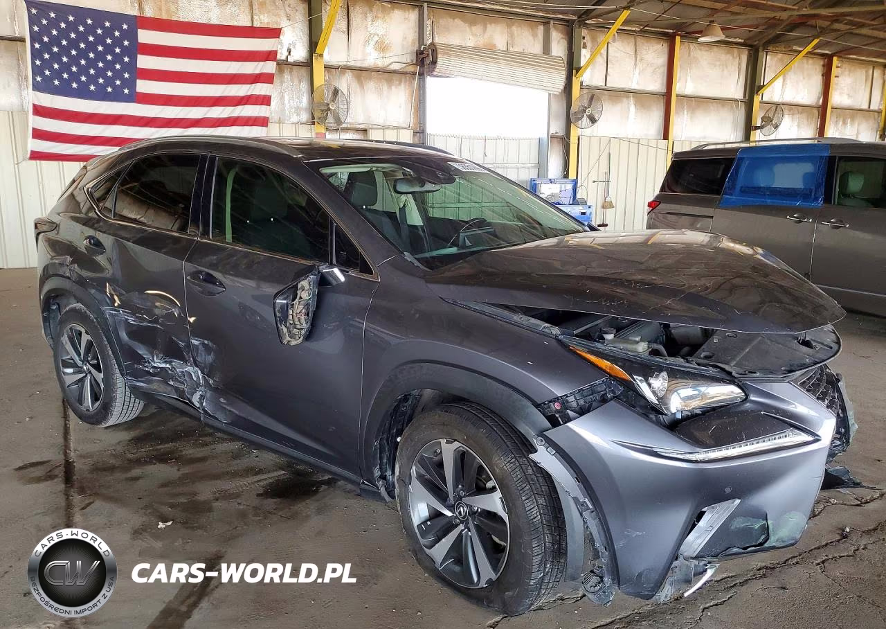2020 Lexus Nx 300H VIN:JTJGJRDZ4L2125971 - 4