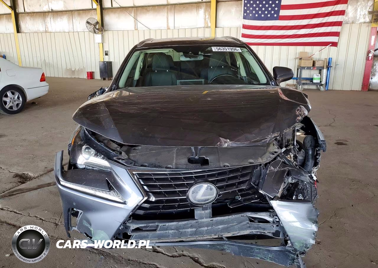 2020 Lexus Nx 300H VIN:JTJGJRDZ4L2125971 - 5