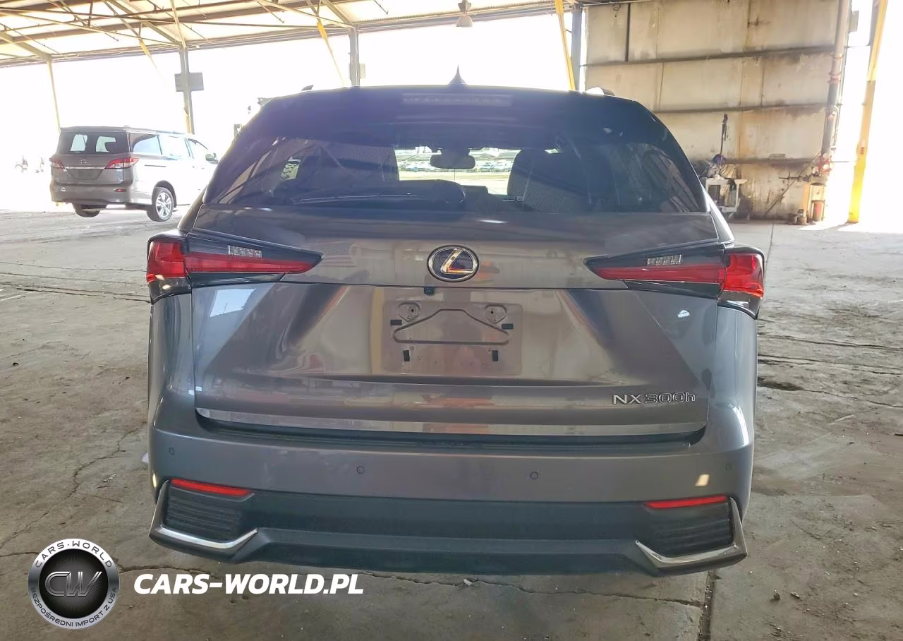 2020 Lexus Nx 300H VIN:JTJGJRDZ4L2125971 - 6