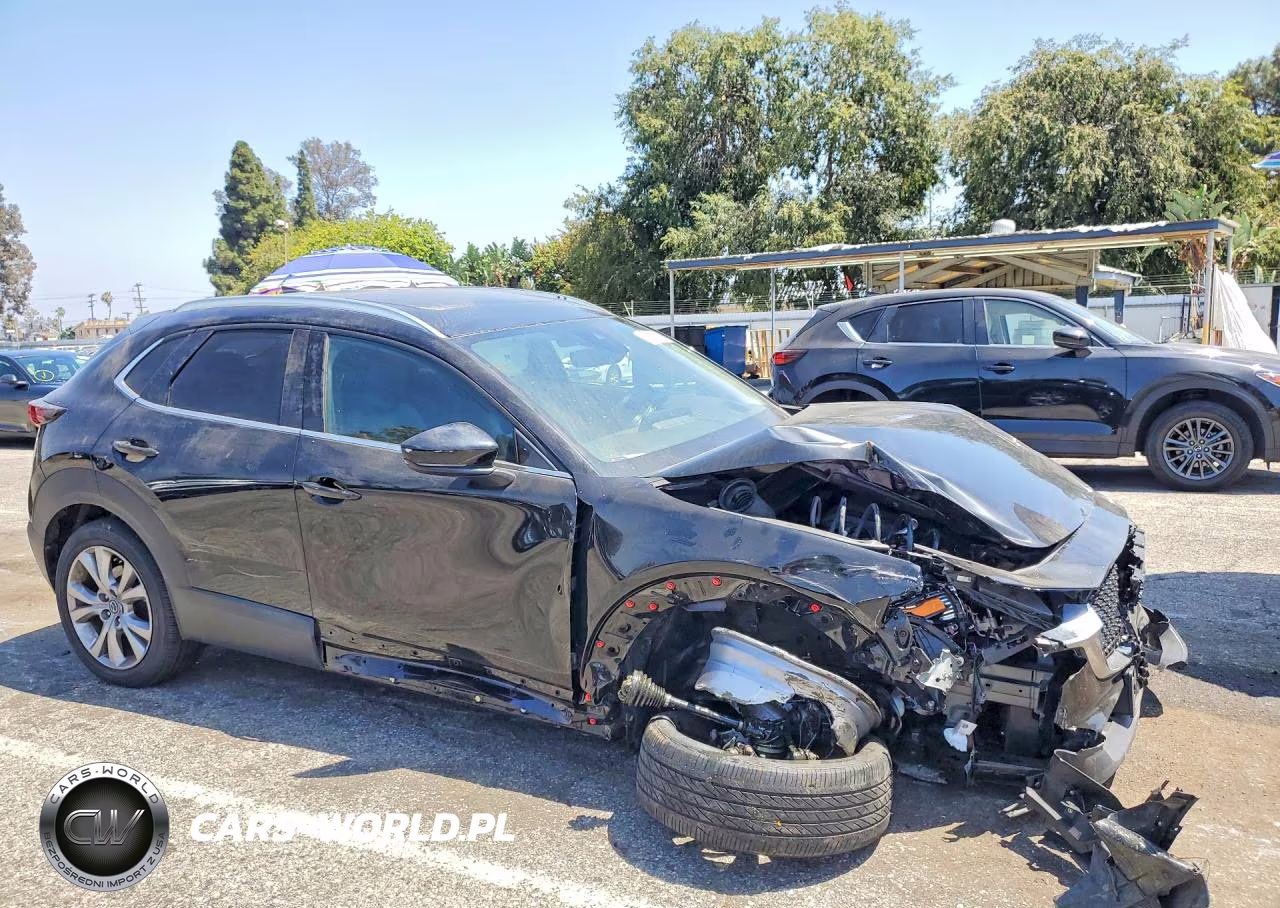 2021 Mazda Cx-30 Premium VIN:3MVDMBDL6MM314386 - 4