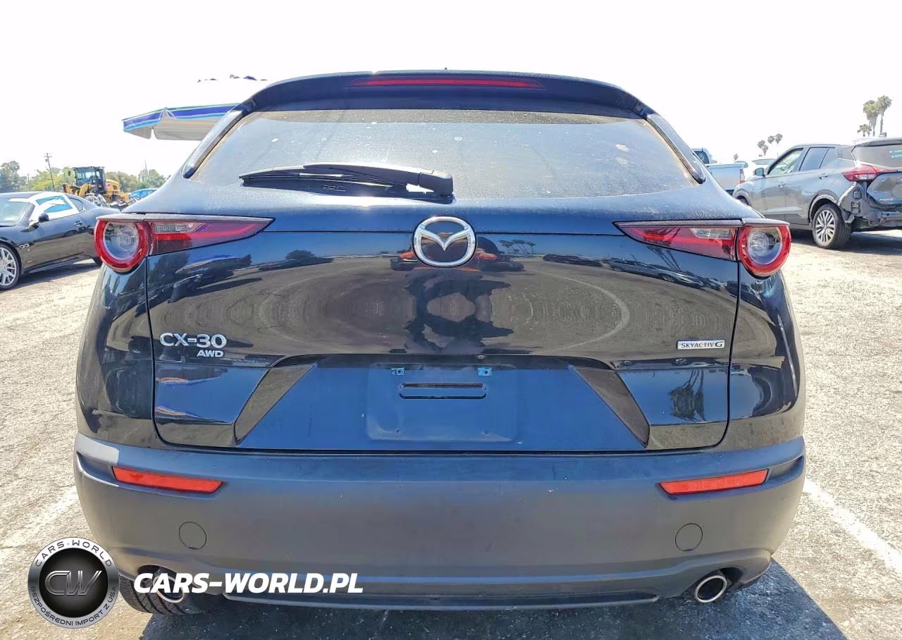 2021 Mazda Cx-30 Premium VIN:3MVDMBDL6MM314386 - 6