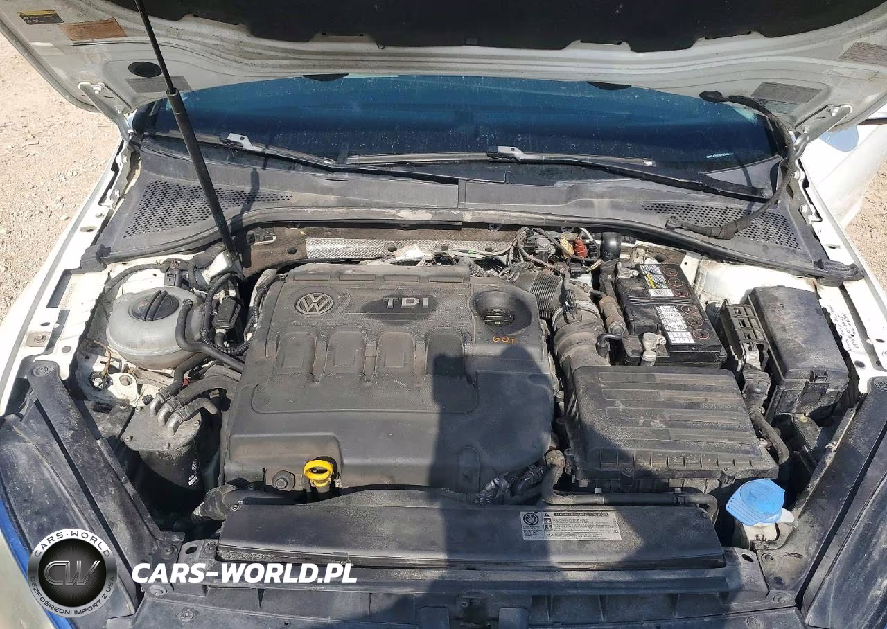 2015 Volkswagen Golf Sportwagen Tdi S VIN:3VWCA7AU6FM508075 - 11