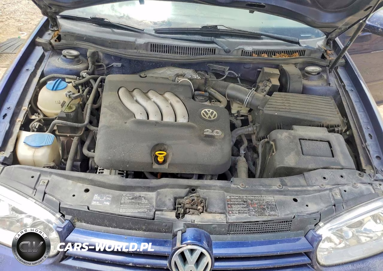 2006 Volkswagen Golf Gls VIN:9BWGL61J564002527 - 11