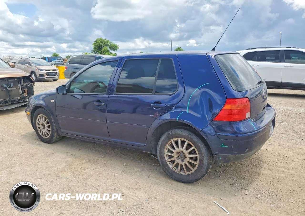 2006 Volkswagen Golf Gls VIN:9BWGL61J564002527 - 2