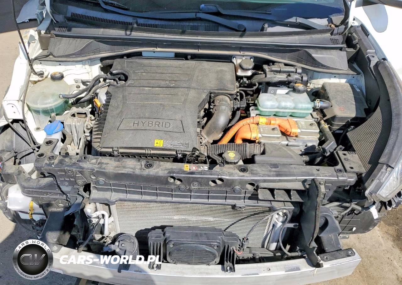 2019 Kia Niro Lx VIN:KNDCB3LC8K5353753 - 12