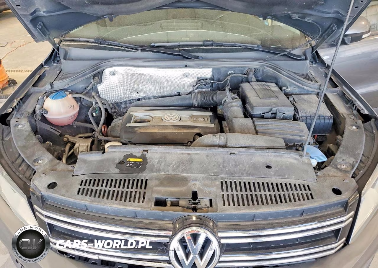 2013 Volkswagen Tiguan S VIN:WVGBV3AX0DW591467 - 12