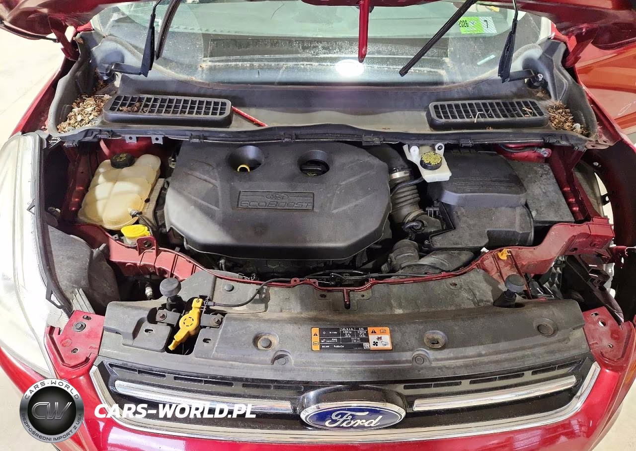 2014 Ford Escape Titanium VIN:1FMCU9J99EUB93683 - 12