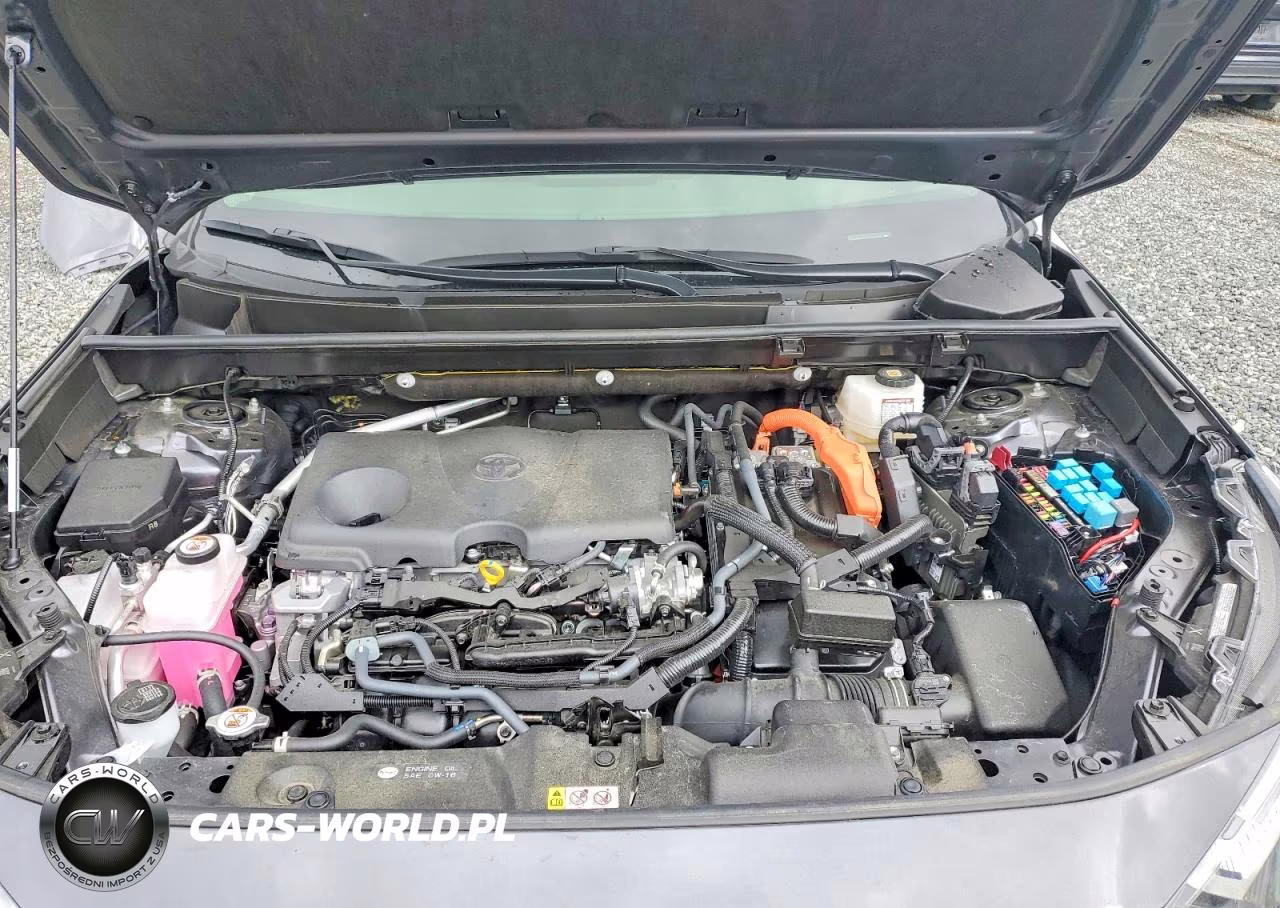 2025 Toyota Rav4 Hybrid Xle VIN:JTMRWRFV4SD298075 - 11
