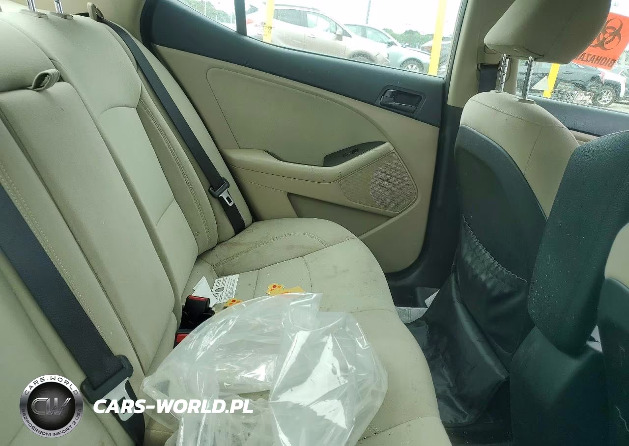 2014 Kia Optima Lx VIN:KNAGM4A77E5483418 - 10