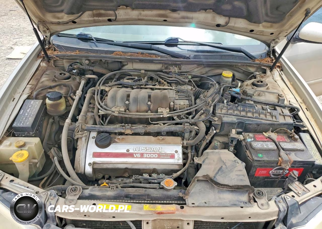 2001 Nissan Maxima Gxe VIN:JN1CA31D41T616719 - 11