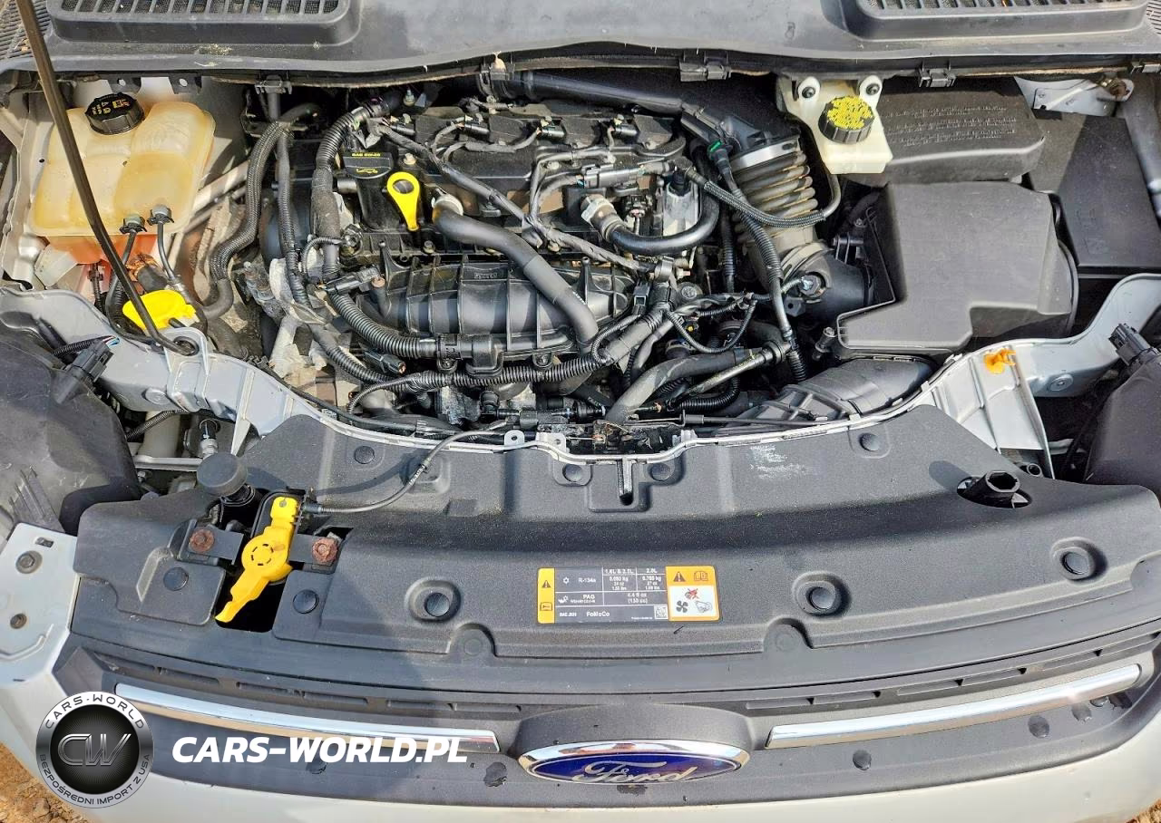 2014 Ford Escape Se VIN:1FMCU9GX4EUD52423 - 12