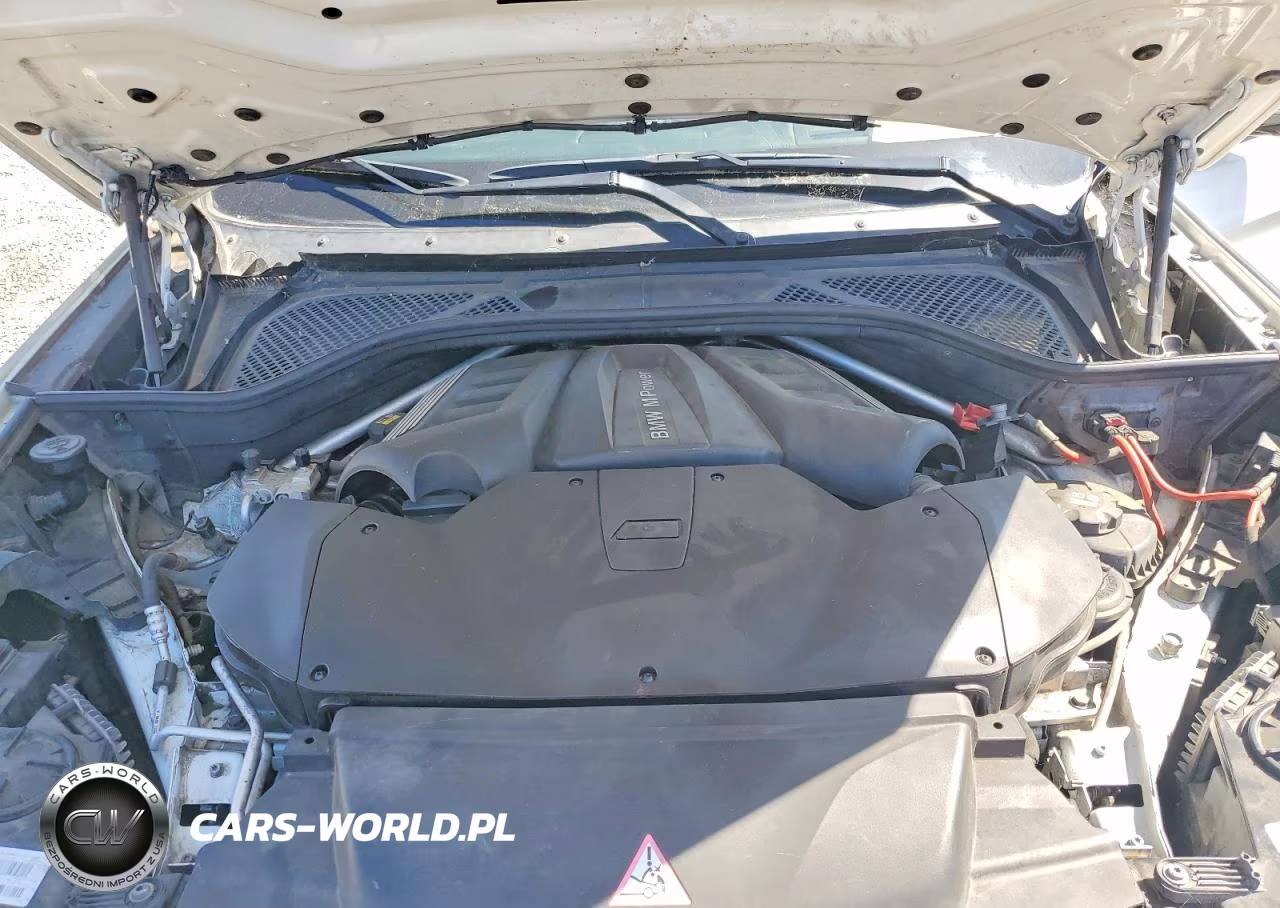 2016 BMW X6 M VIN:5YMKW8C56G0R43752 - 12