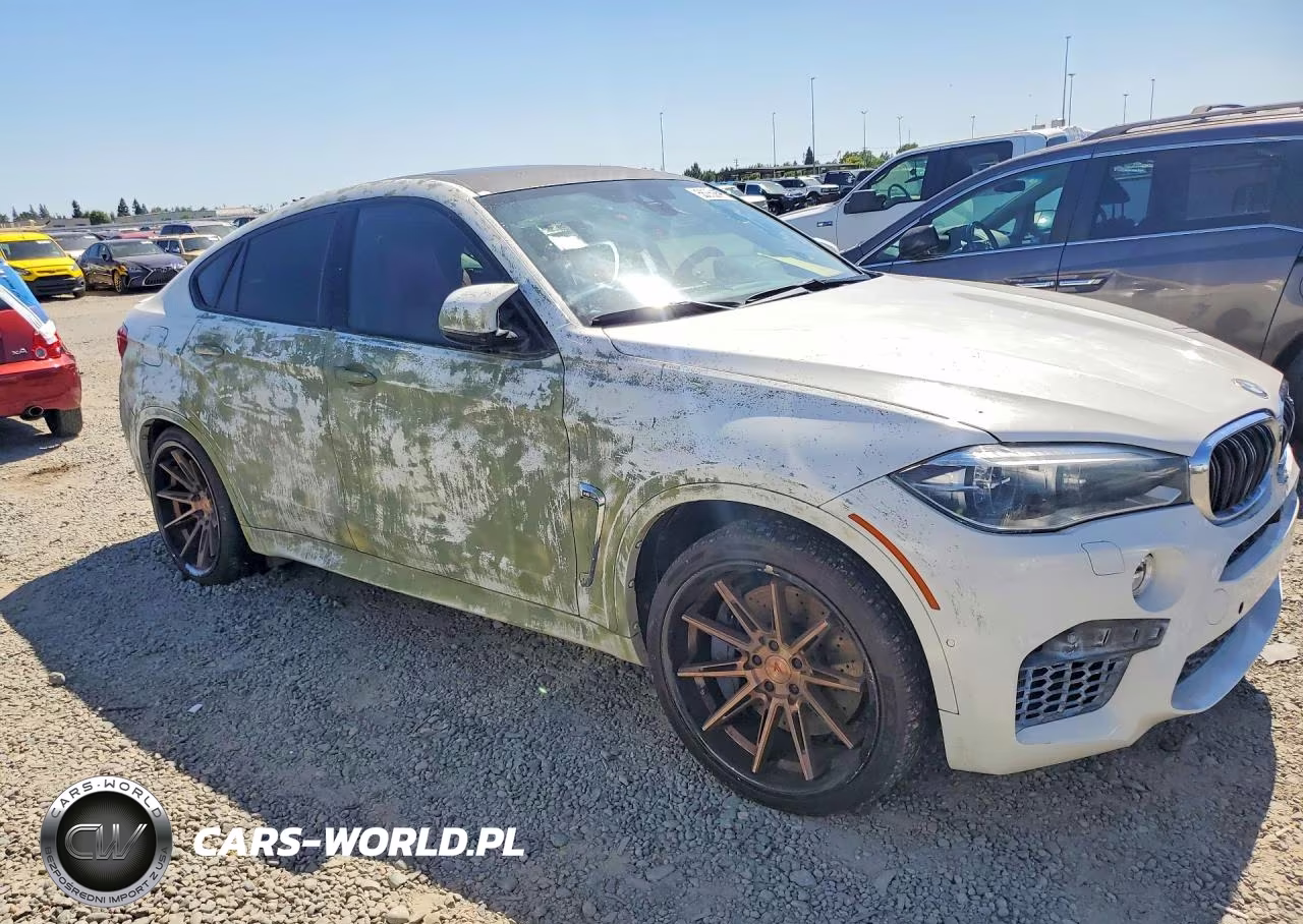 2016 BMW X6 M VIN:5YMKW8C56G0R43752 - 4