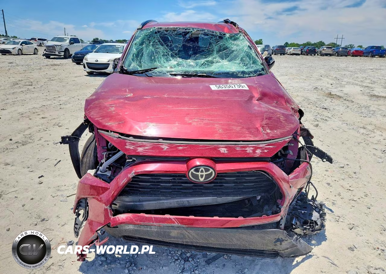 2019 Toyota Rav4 Xle VIN:JTMW1RFV7KJ012352 - 5