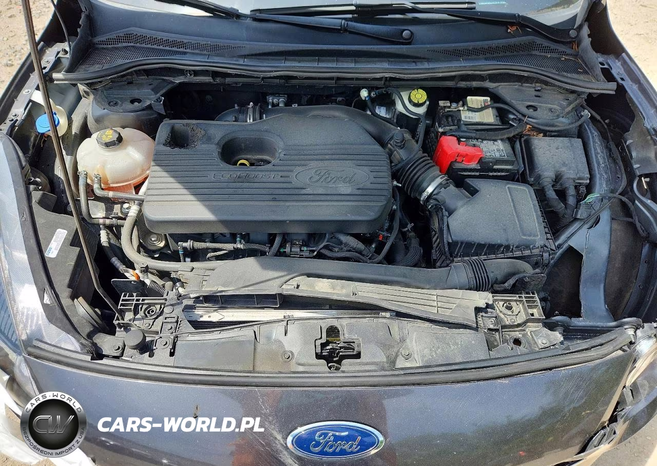 2020 Ford Escape Sel VIN:1FMCU9H9XLUA72616 - 12
