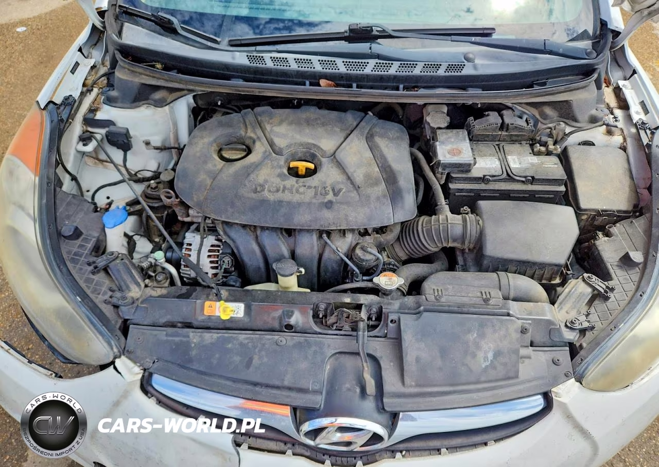 2013 Hyundai Elantra Gls VIN:5NPDH4AE4DH252502 - 11