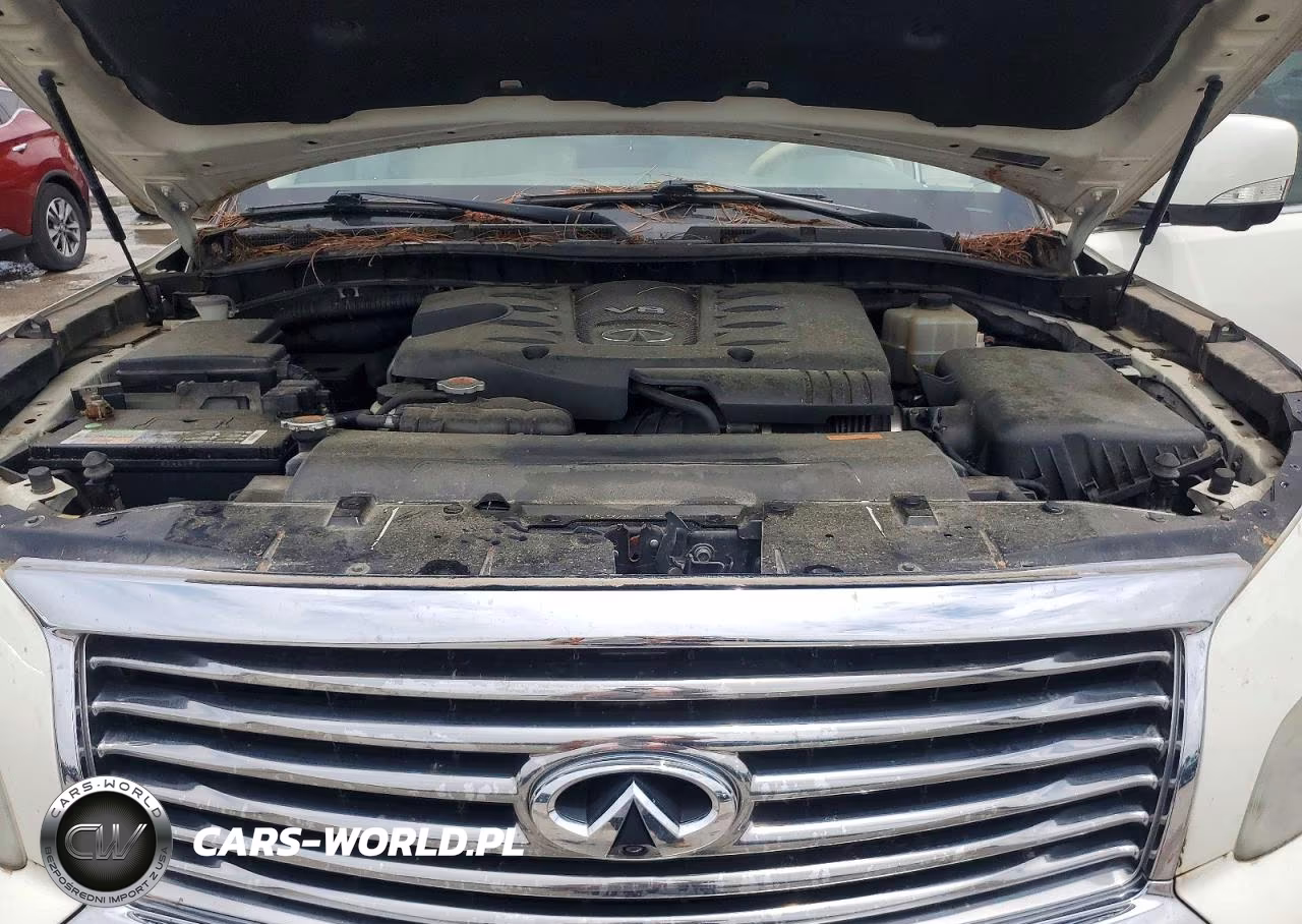 2014 Infiniti Qx80 Base VIN:JN8AZ2NE5E9064486 - 12