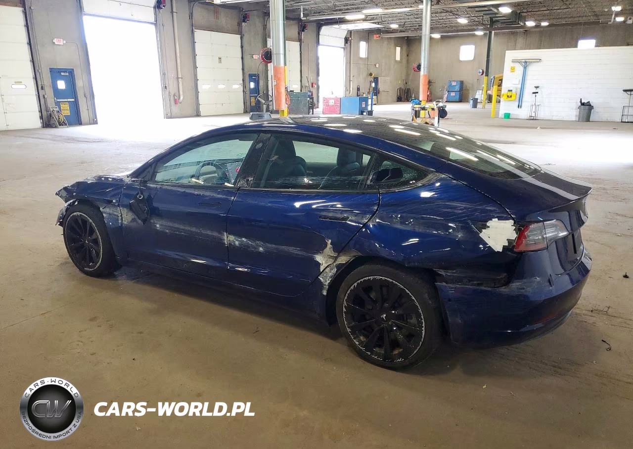 2022 Tesla Model 3 VIN:5YJ3E1EAXNF289113 - 2