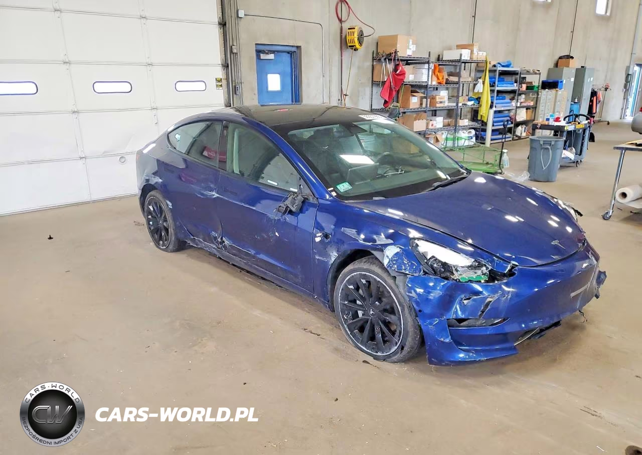 2022 Tesla Model 3 VIN:5YJ3E1EAXNF289113 - 4
