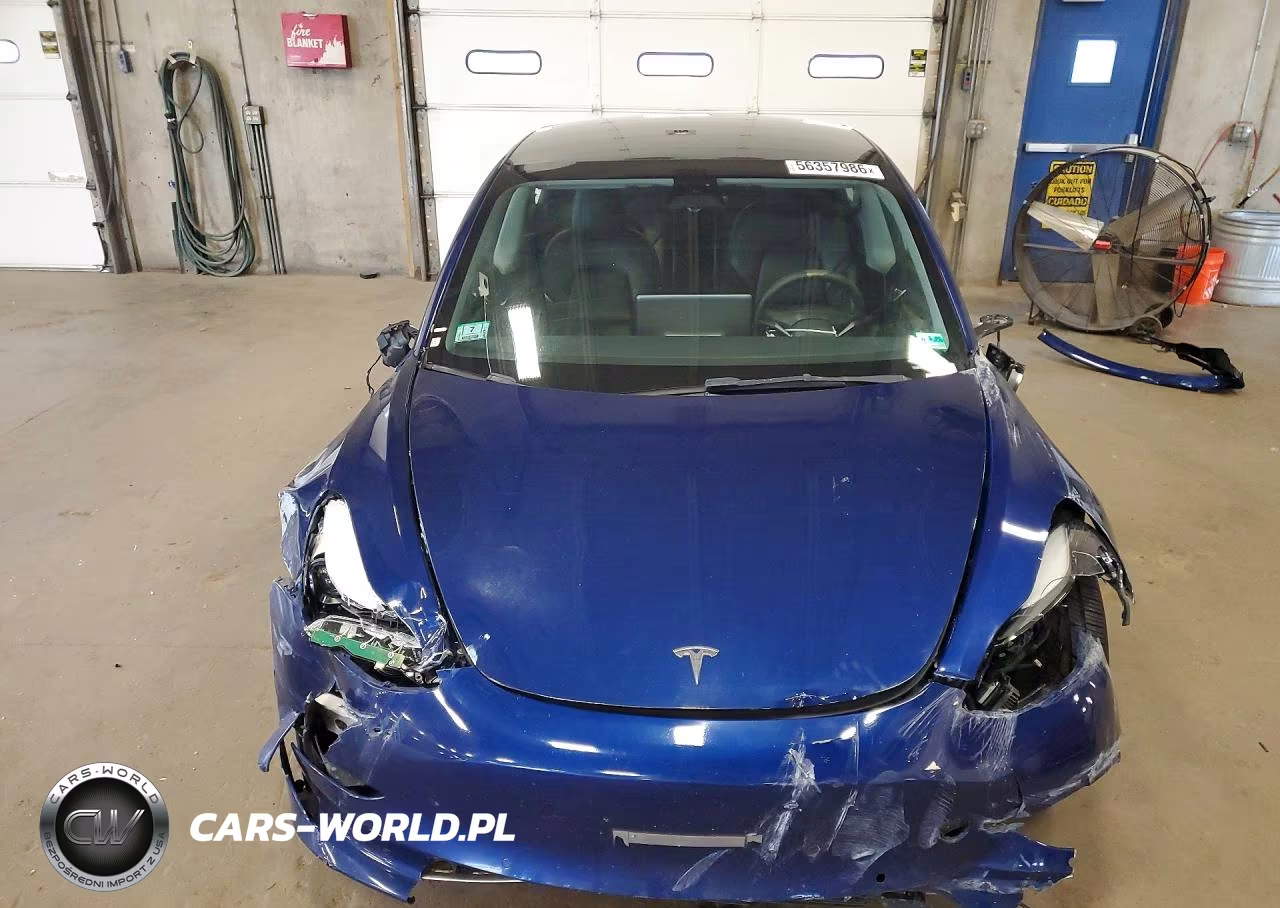 2022 Tesla Model 3 VIN:5YJ3E1EAXNF289113 - 5
