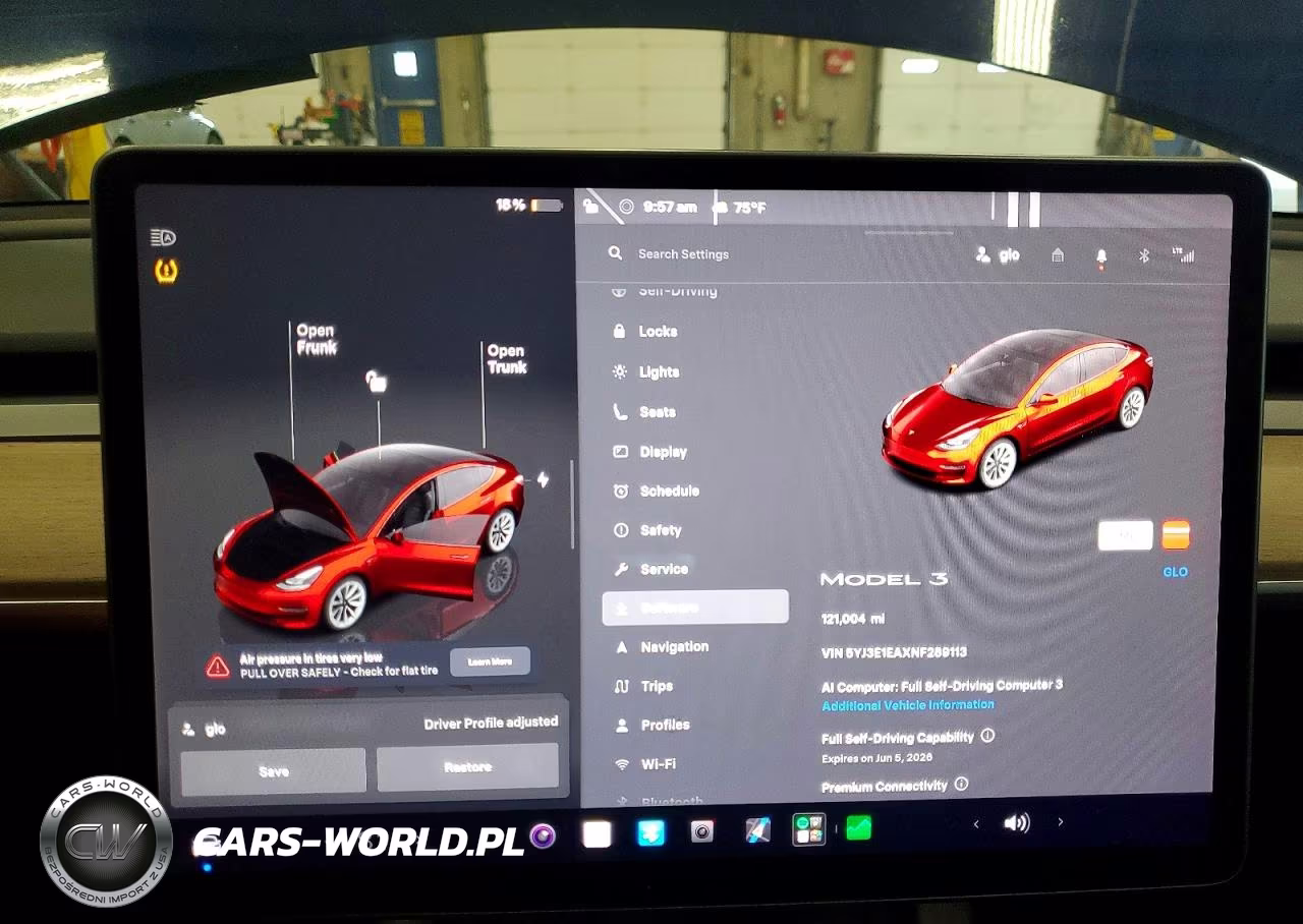 2022 Tesla Model 3 VIN:5YJ3E1EAXNF289113 - 9