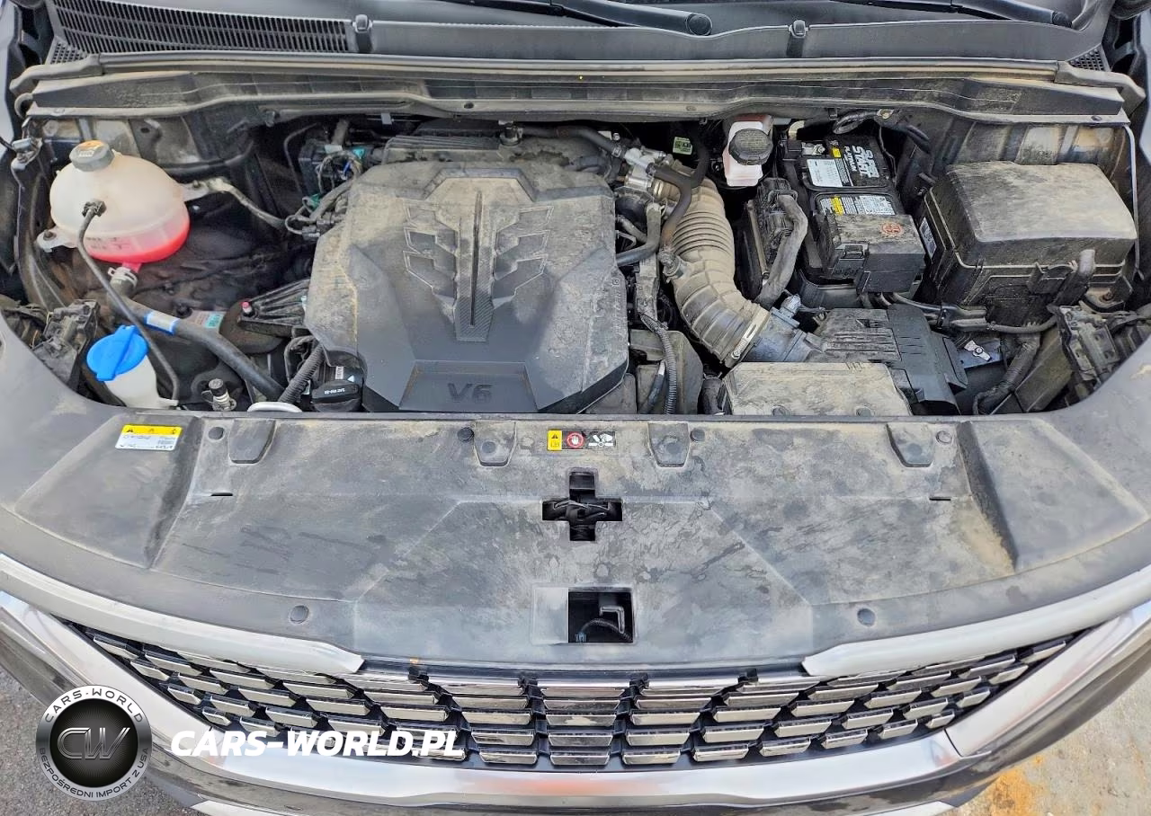 2024 Kia Carnival VIN:KNDNE5H32R6351666 - 12