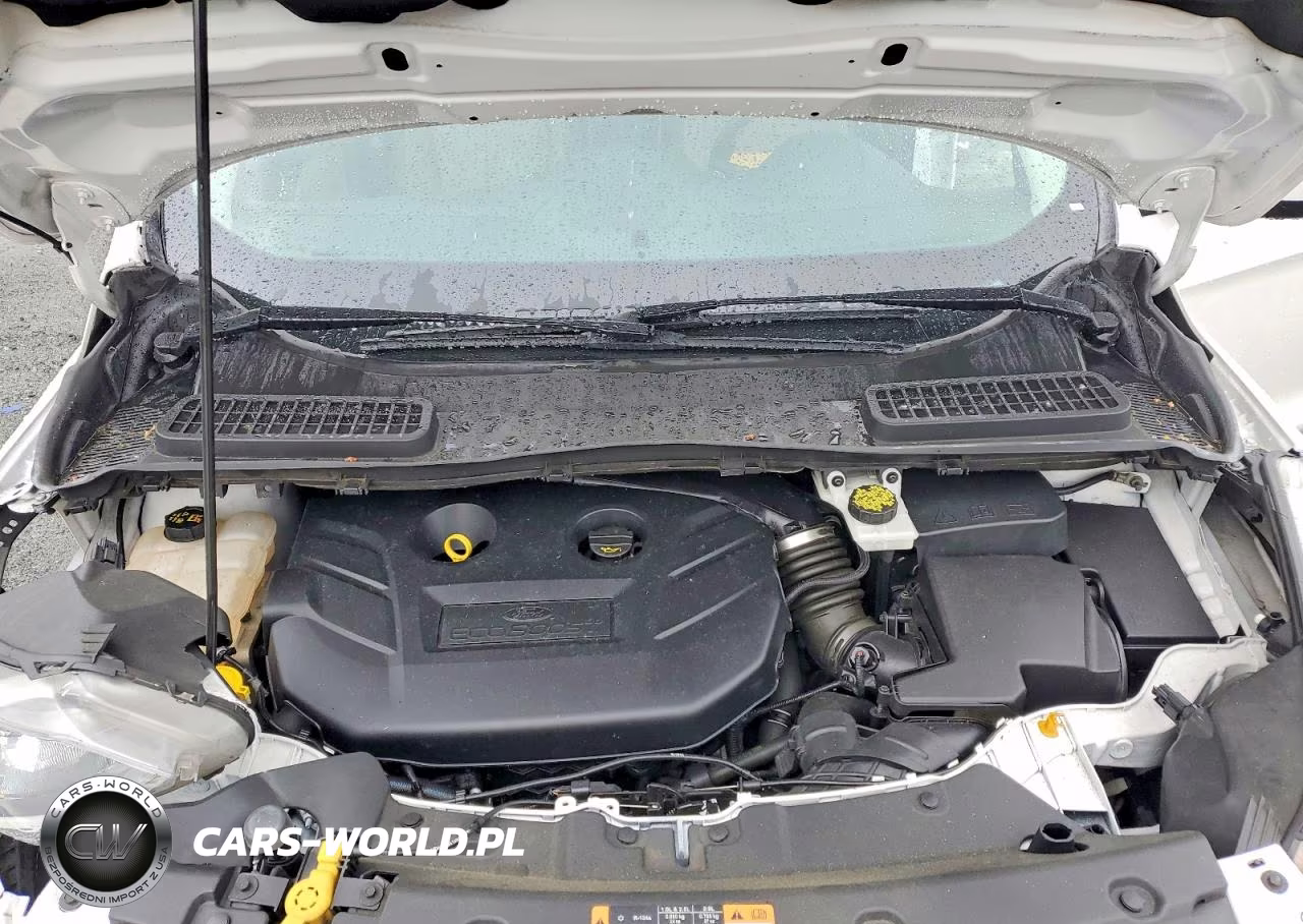 2016 Ford Escape Se VIN:1FMCU9G91GUB61188 - 12