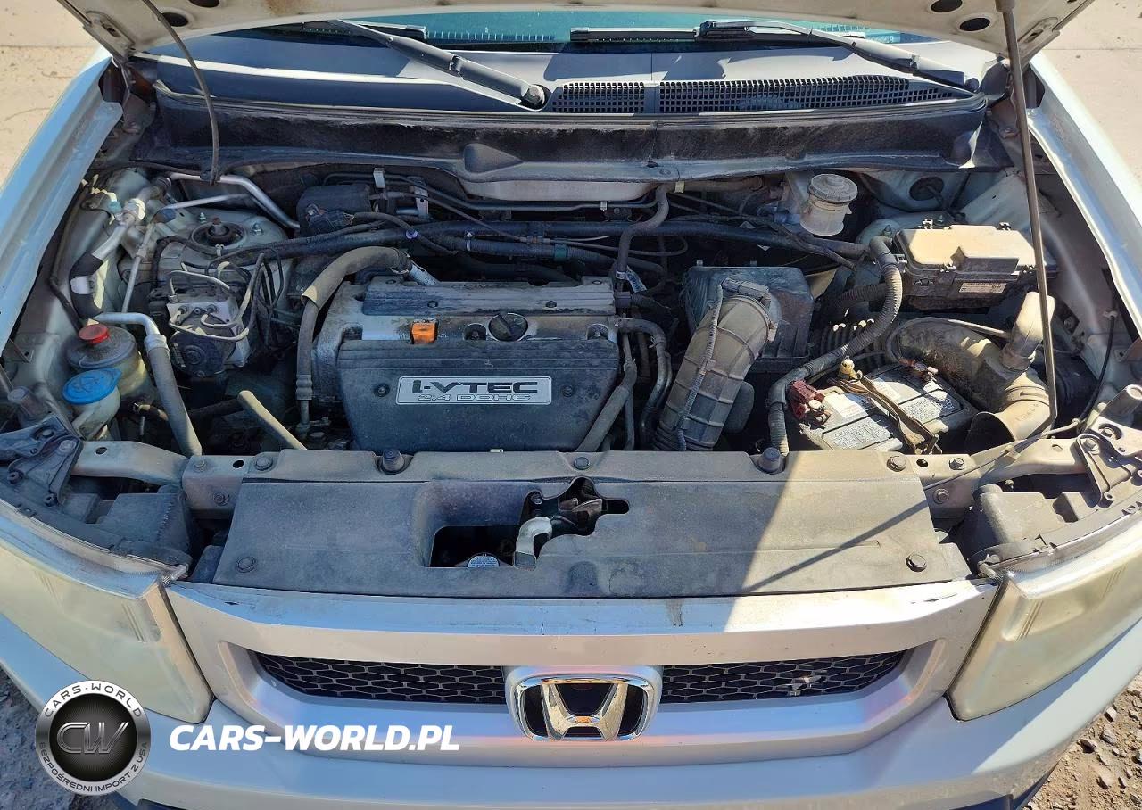 2009 Honda Element Ex VIN:5J6YH28749L003014 - 12
