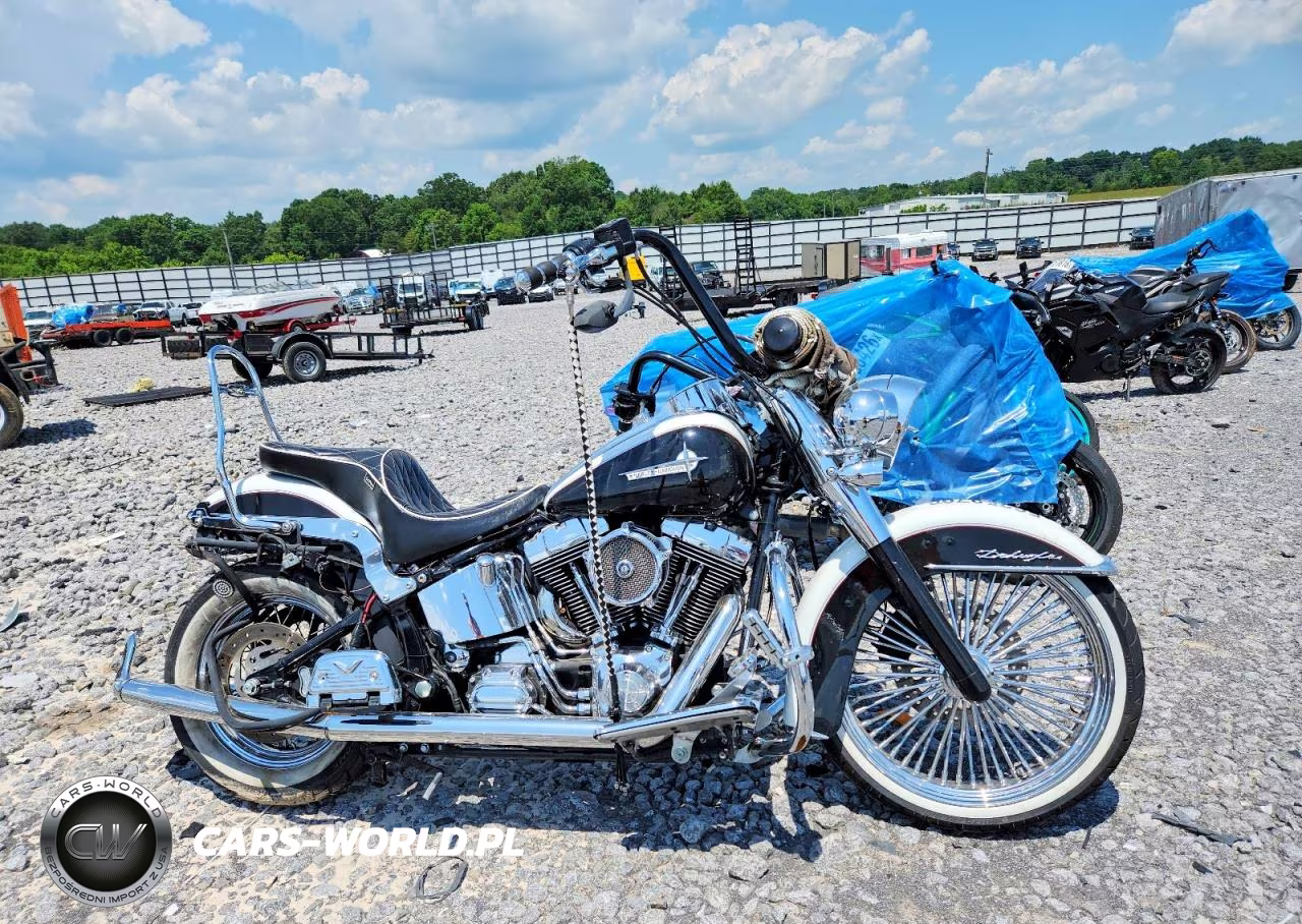 2006 Harley-Davidson Flstni
