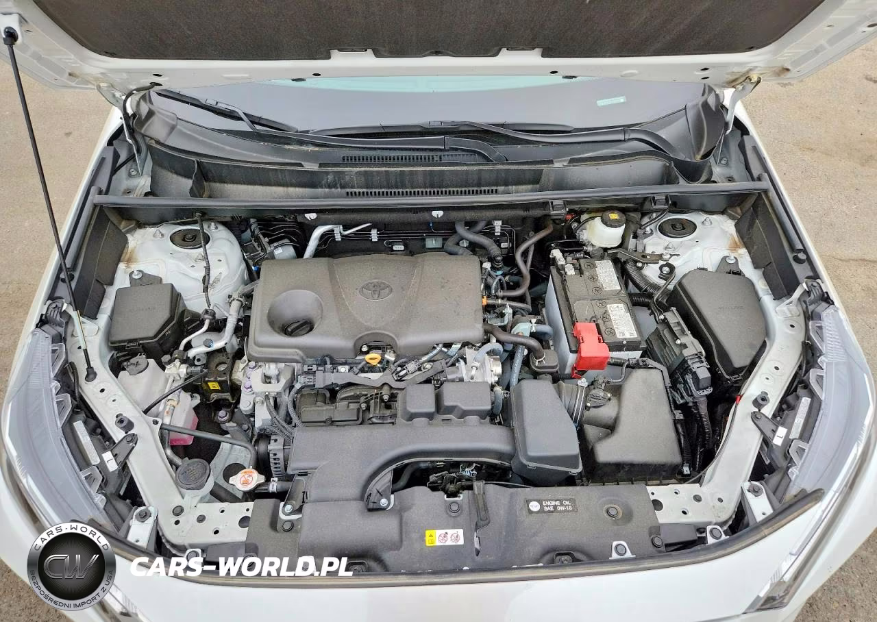 2025 Toyota Rav4 Xle Premium VIN:2T3A1RFV4SW498162 - 12