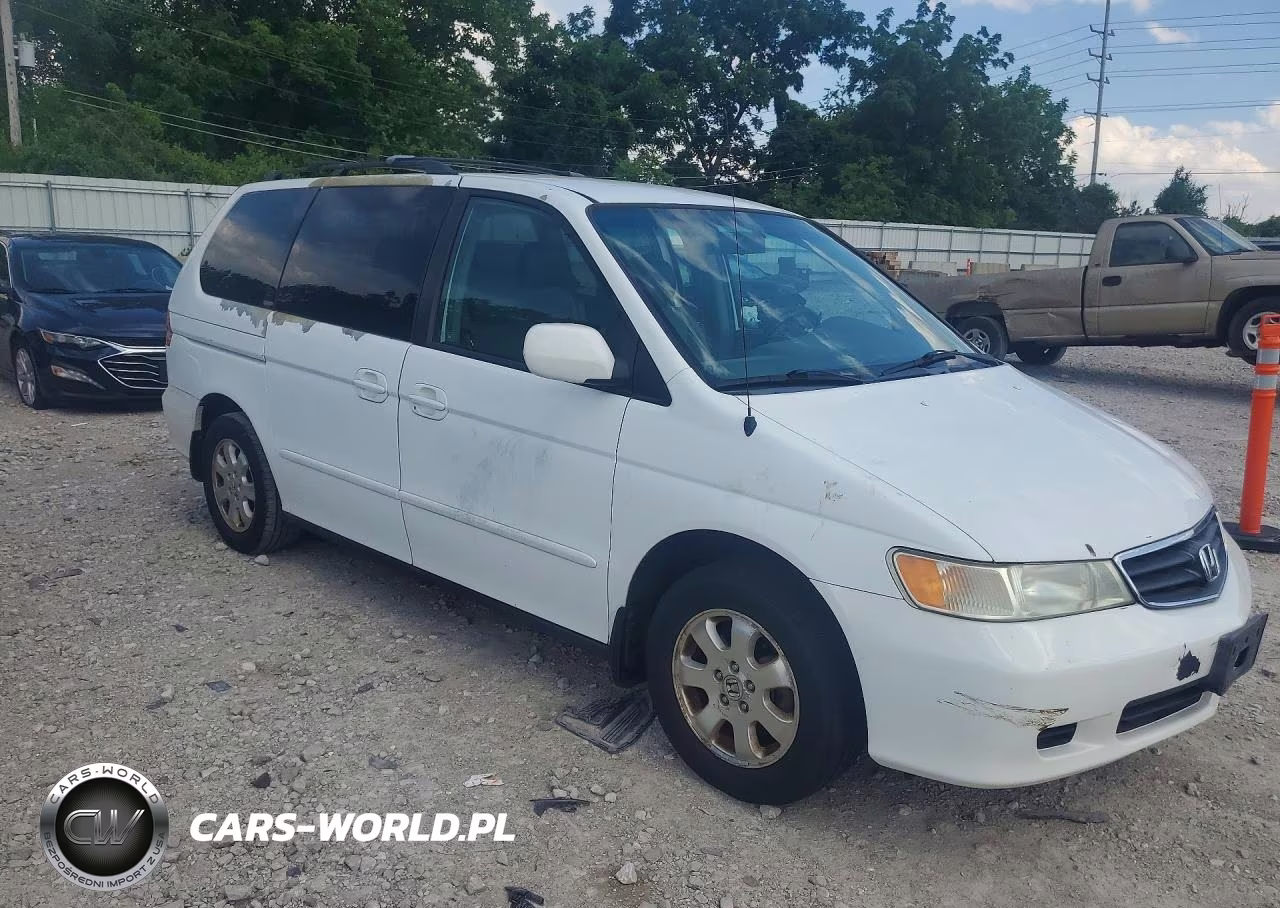 2004 Honda Odyssey Exl VIN:5FNRL18974B064051 - 4