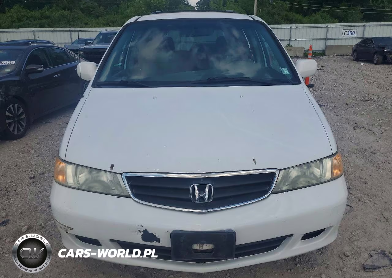 2004 Honda Odyssey Exl VIN:5FNRL18974B064051 - 5