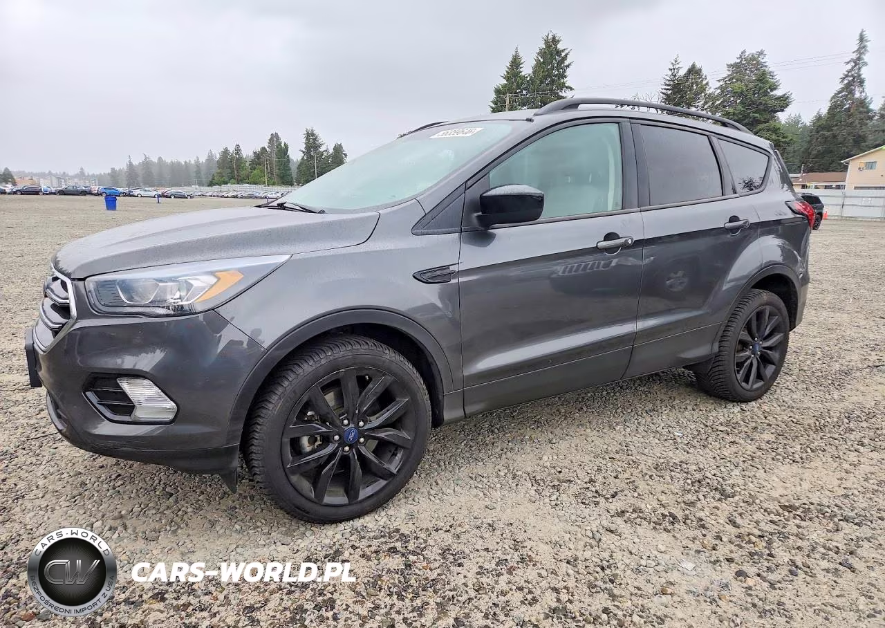 2019 Ford Escape Se