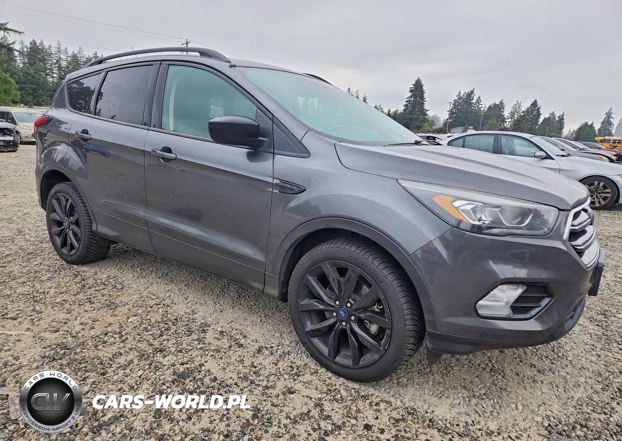 2019 Ford Escape Se VIN:1FMCU9GD2KUB09954 - 4
