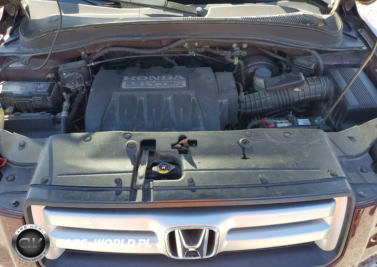 2007 Honda Pilot Exl VIN:5FNYF28577B040049 - 11