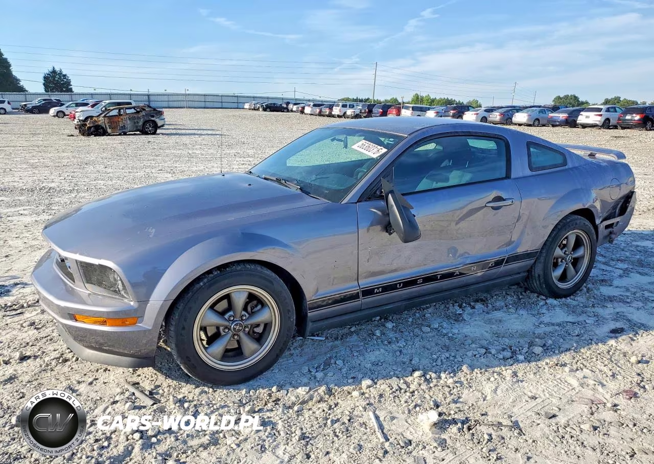 2006 Ford Mustang VIN:1ZVFT80NX65131845 - 1