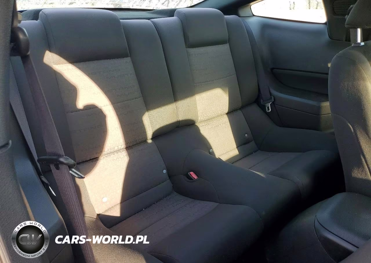 2006 Ford Mustang VIN:1ZVFT80NX65131845 - 10